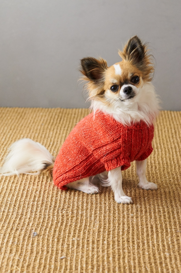 Sole Salvo For Purl Soho: Lucky Dog Sweater | Purl Soho