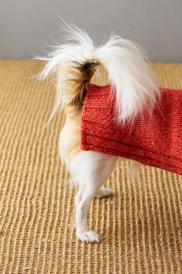 Sole Salvo For Purl Soho: Lucky Dog Sweater | Purl Soho