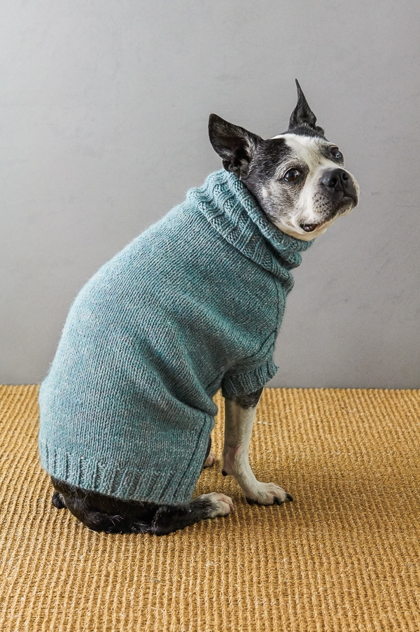 Sole Salvo For Purl Soho: Lucky Dog Sweater | Purl Soho