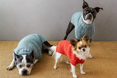 Sole Salvo For Purl Soho: Lucky Dog Sweater