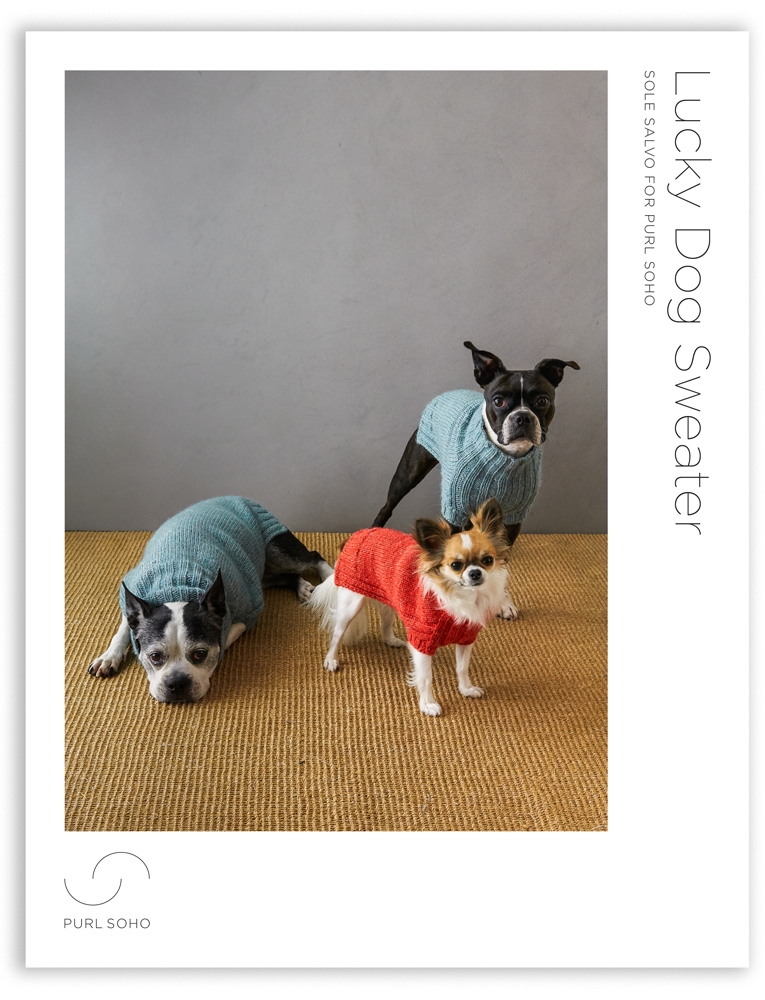 CC Designer Knitted Dog Sweater | Supreme Dog Garage