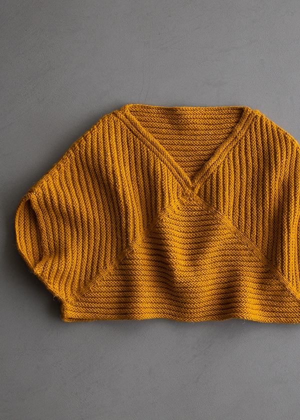 Ainur Berkimbayeva For Purl Soho: Center Point Popover | Purl Soho