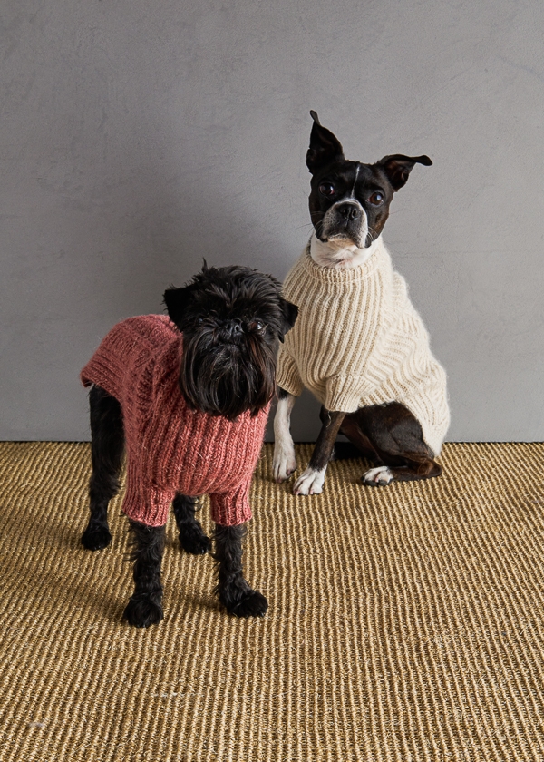 Sole Salvo For Purl Soho: Dog Park Sweater | Purl Soho