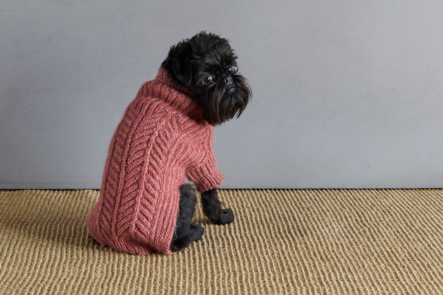 Sole Salvo For Purl Soho: Dog Park Sweater | Purl Soho