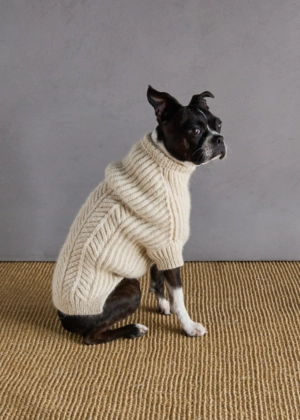 Sole Salvo For Purl Soho: Dog Park Sweater | Purl Soho