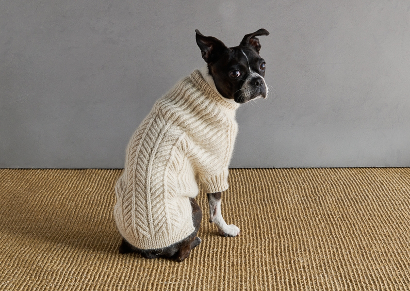 Sole Salvo For Purl Soho: Dog Park Sweater | Purl Soho