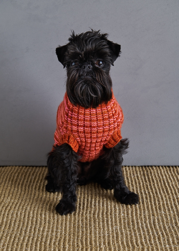 Sole Salvo For Purl Soho: Pinstripe Dog Sweater | Purl Soho