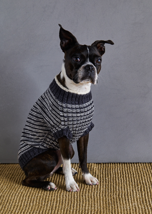 Sole Salvo For Purl Soho: Pinstripe Dog Sweater | Purl Soho