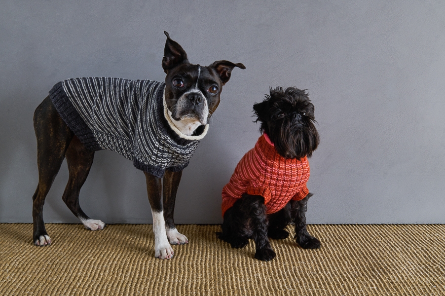 Sole Salvo For Purl Soho: Pinstripe Dog Sweater | Purl Soho