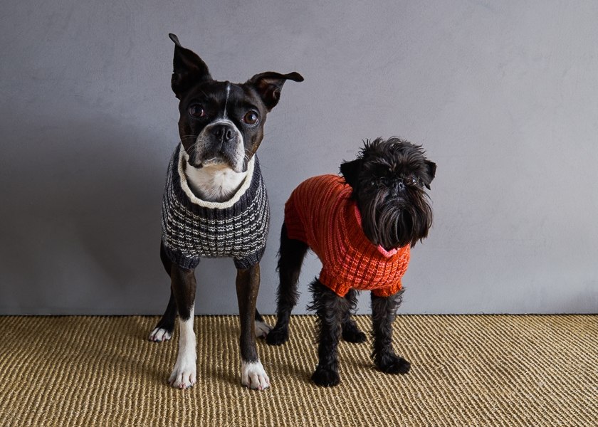 Sole Salvo For Purl Soho: Pinstripe Dog Sweater | Purl Soho