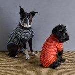 Sole Salvo For Purl Soho: Pinstripe Dog Sweater