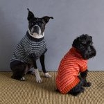 pinstripe-dog-sweater-P-600-21