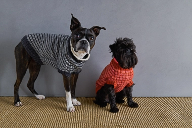 Sole Salvo For Purl Soho: Pinstripe Dog Sweater