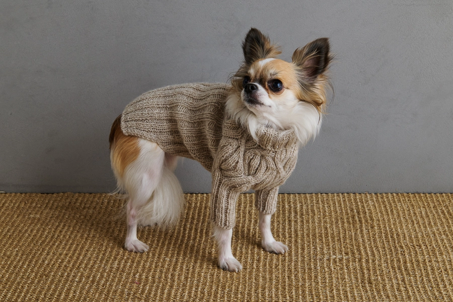 Sole Salvo For Purl Soho: Botanical Yoke Dog Sweater | Purl Soho