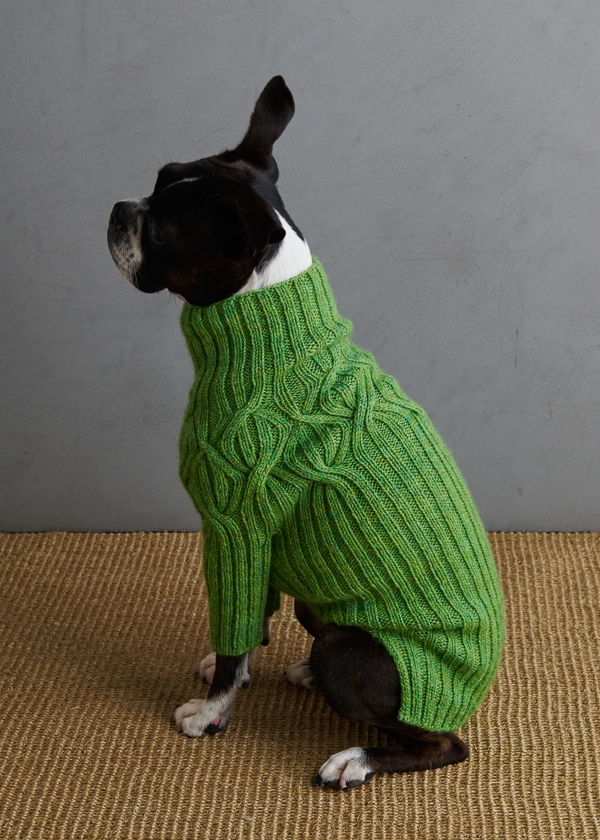 Sole Salvo For Purl Soho: Botanical Yoke Dog Sweater | Purl Soho