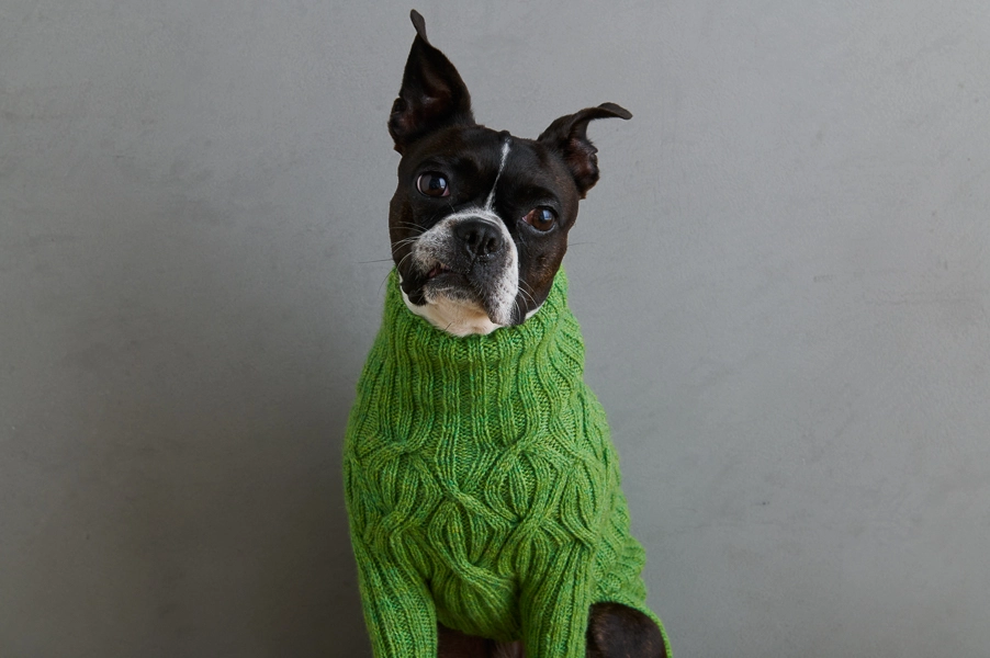 Sole Salvo For Purl Soho: Botanical Yoke Dog Sweater | Purl Soho