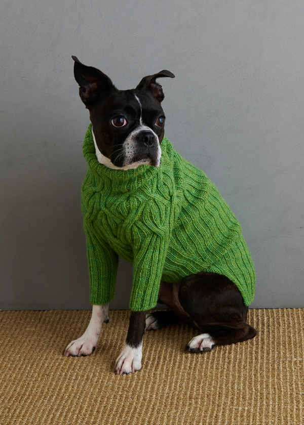 Sole Salvo For Purl Soho: Botanical Yoke Dog Sweater | Purl Soho