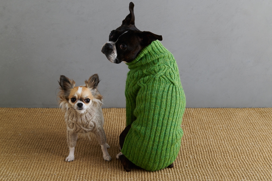 Sole Salvo For Purl Soho: Botanical Yoke Dog Sweater | Purl Soho
