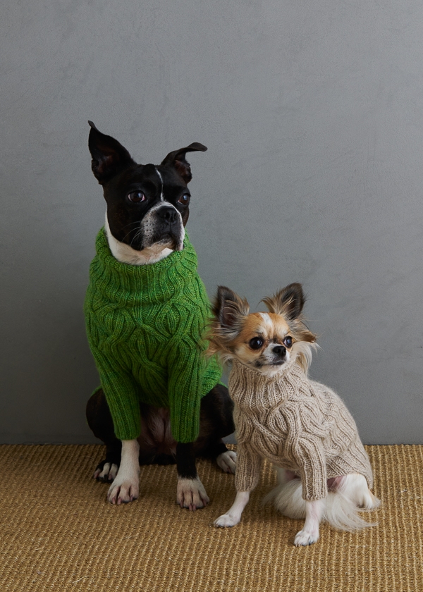 Sole Salvo For Purl Soho: Botanical Yoke Dog Sweater | Purl Soho