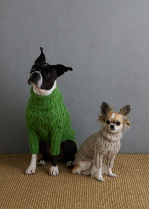 Sole Salvo For Purl Soho: Botanical Yoke Dog Sweater | Purl Soho