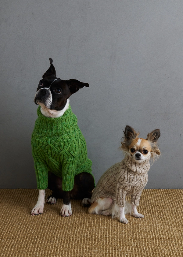 Boston terrier sweaters for humans sale