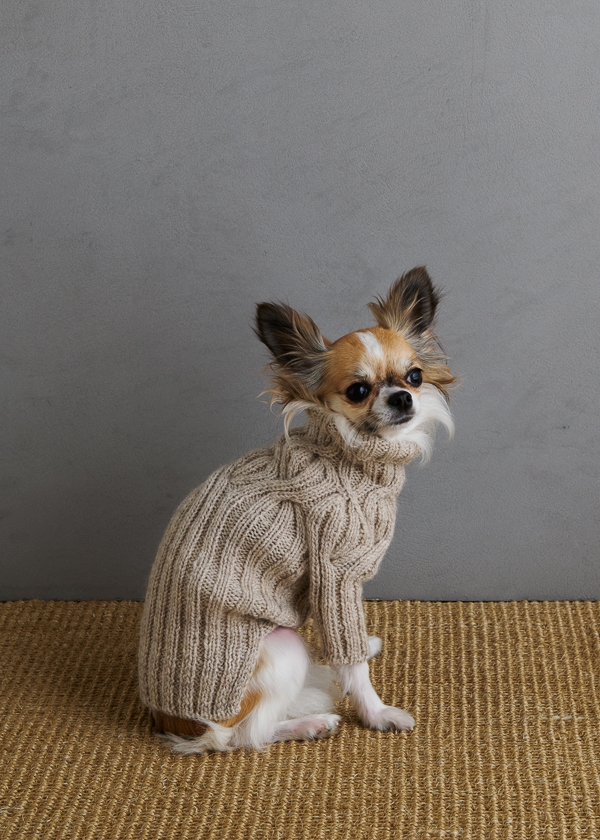 Sole Salvo For Purl Soho Botanical Yoke Dog Sweater Purl Soho