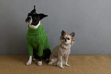 Sole Salvo For Purl Soho: Botanical Yoke Dog Sweater