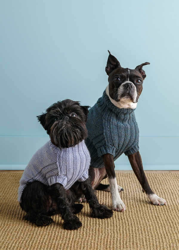 Sole Salvo For Purl Soho: Lucky Dog Sweater in Daily Wool | Purl Soho