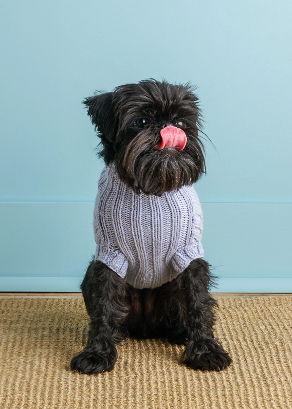 Sole Salvo For Purl Soho: Lucky Dog Sweater in Daily Wool | Purl Soho