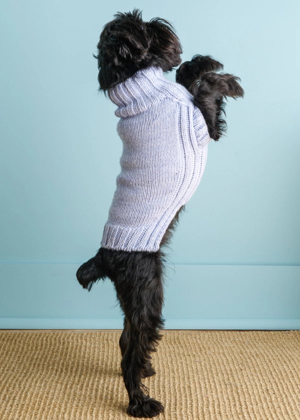Sole Salvo For Purl Soho: Lucky Dog Sweater in Daily Wool | Purl Soho