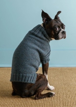 Sole Salvo For Purl Soho: Lucky Dog Sweater in Daily Wool | Purl Soho