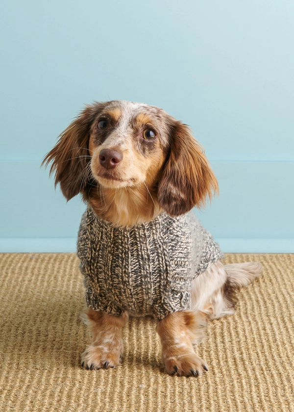 Sole Salvo For Purl Soho: Lucky Dog Sweater in Daily Wool | Purl Soho