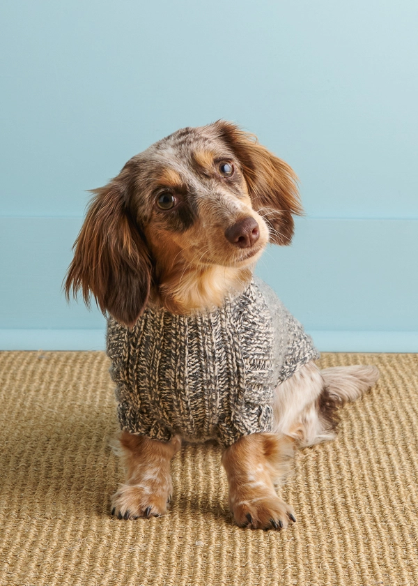 Sole Salvo For Purl Soho: Lucky Dog Sweater in Daily Wool | Purl Soho