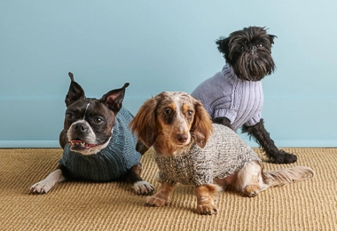 Sole Salvo For Purl Soho: Lucky Dog Sweater in Daily Wool