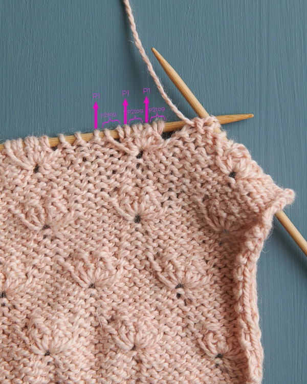 Early Bloom Shawl | Purl Soho