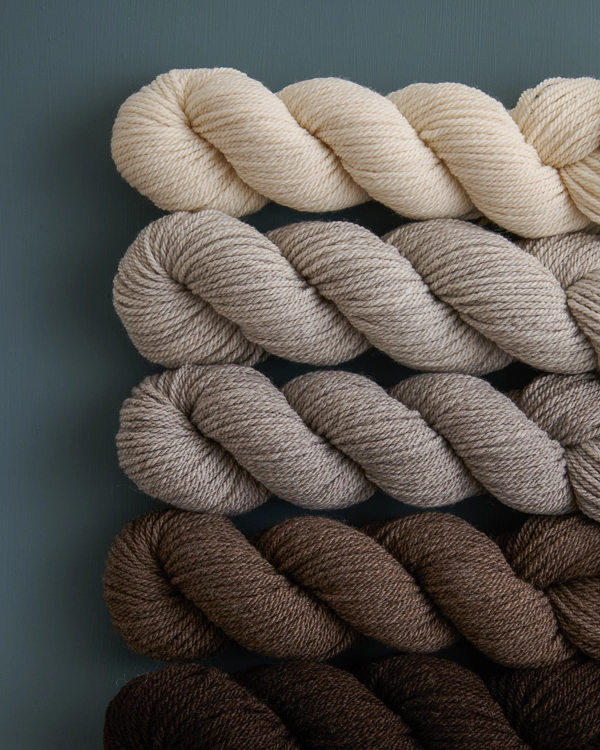 Wool Standard Hat | Purl Soho