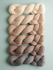 Sand Drift Blanket In Sweetgrass Bundle