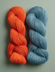 Sea Turtle + Tomato Orange