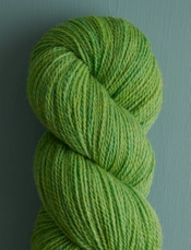 Tree Frog