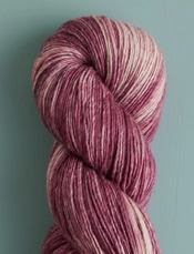 Violet Hellebore