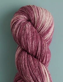 Violet Hellebore